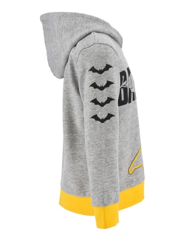 Batman Kapuzenpullover Sweatshirt in Grau