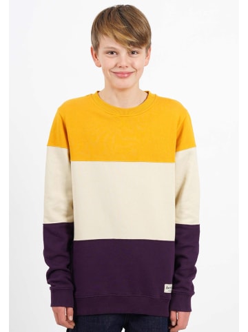 Band of Rascals Sweat " 3c Block " in mustard-dark-purple