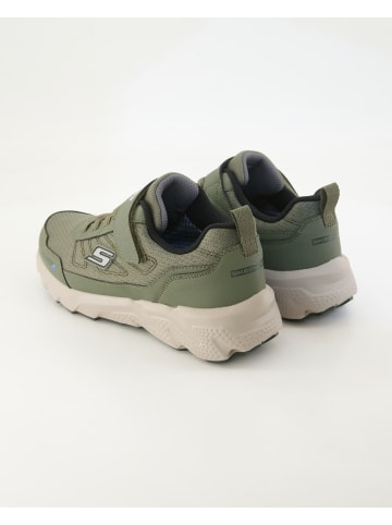 Skechers Klettschuhe in Grün
