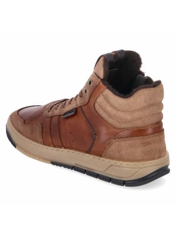 Bullboxer High Sneaker in braun
