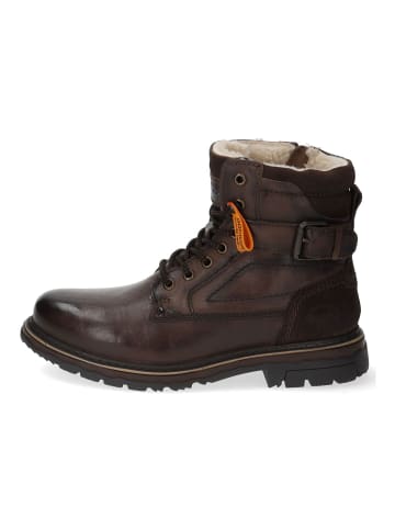 DOCKERS Stiefelette in Braun