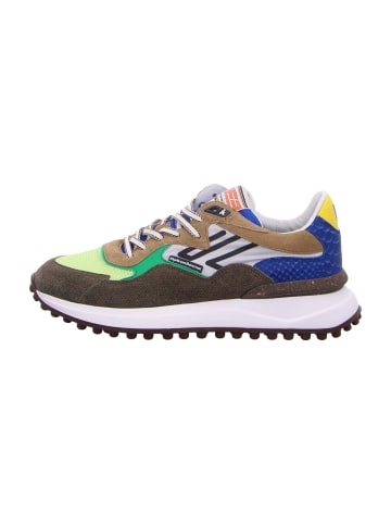 Floris van Bommel Sneaker Low in Bunt
