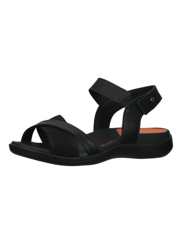 ARCOPEDICO Sandalen in Black