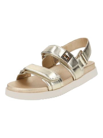 Steve Madden Sandalen Gold