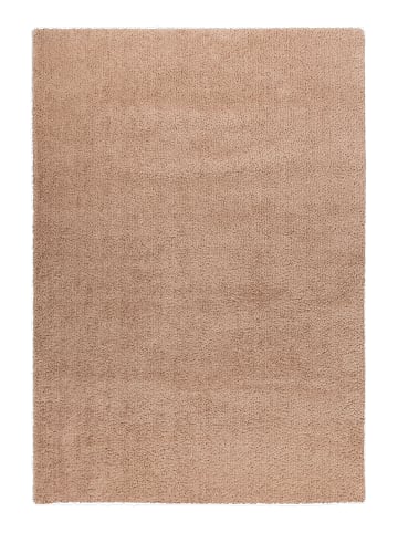 Kayoom Kayoom Neu 2026 Wohnzimmer Hochflor Teppich Pasture 125 champagner in champagner