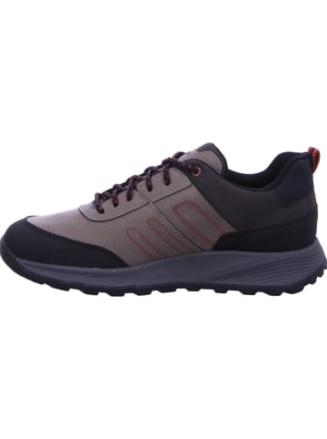 Geox Schnürschuhe in grau