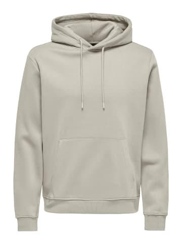 ONLY & SONS Kapuzenpullover in Silver Lining
