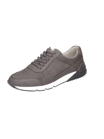 Gabor Sneaker in grey