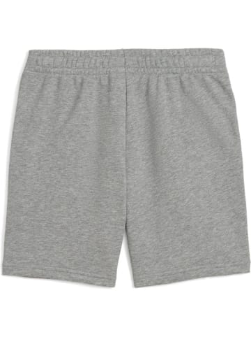 Puma Sporthose "ESS 2 COLOR No.1 Logo Shorts TR B" in Grau