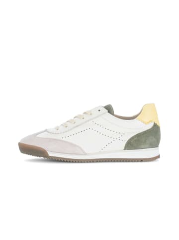 Gabor Sneaker low in beige