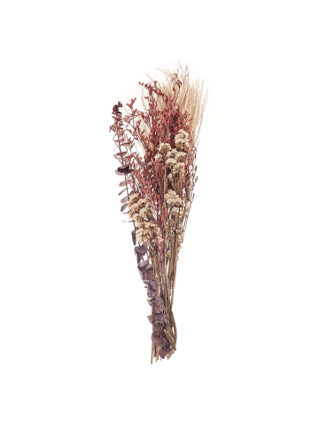 Beliani Trockenblumenstrauß ARABA in /Rosa/Braun - (W) 13 x (H) 55 x (L) 2 cm