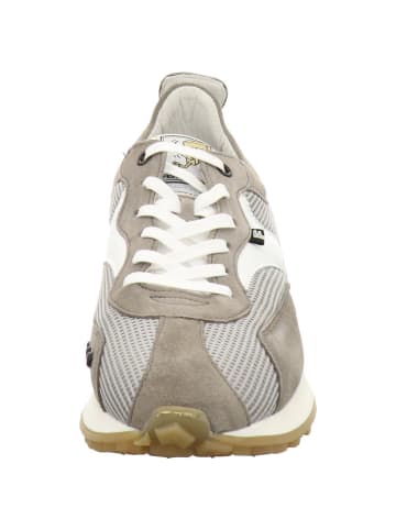 Floris van Bommel Sneaker Low in grau