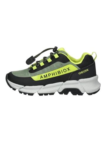 Geox Sneaker Olive