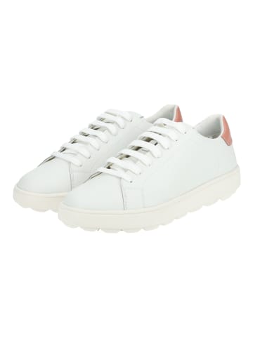 Geox Sneaker Weiß/Rosa