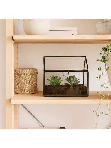 relaxdays Pflanzenterrarium "Haus" in Schwarz - (B)16 x (H)16 x (T)11,5 cm