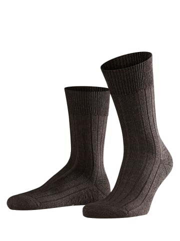 Falke Socken Teppich im Schuh in Dark brown