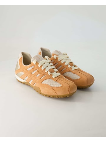 Geox Sportliche Schnürschuhe in Orange