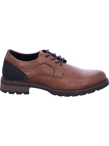 Tom Tailor Schnürschuhe in cognac