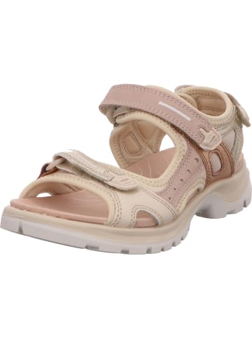 Ecco Sandalette in beige
