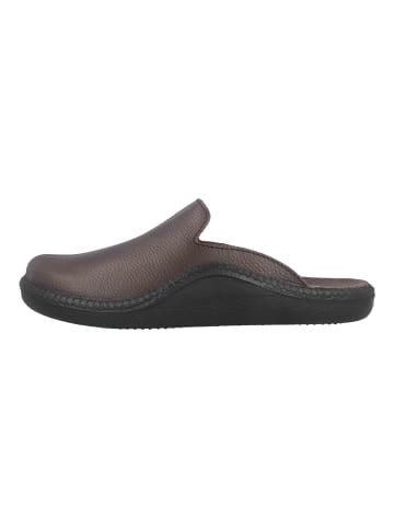Josef Seibel Clogs & Hausschuhe in Braun