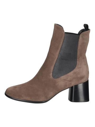 Högl Stiefelette in Taupe