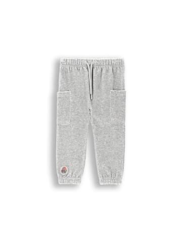Coccodrillo Jogginghose in grau