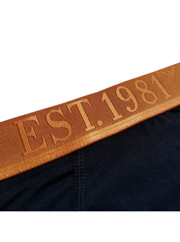 Emporio Armani 3er Pack Trunks Cotton in Mehrfarbig