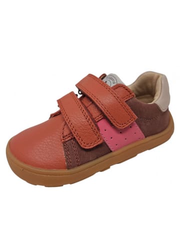 bisgaard Klettschuh Barefoot Rico in Rosa