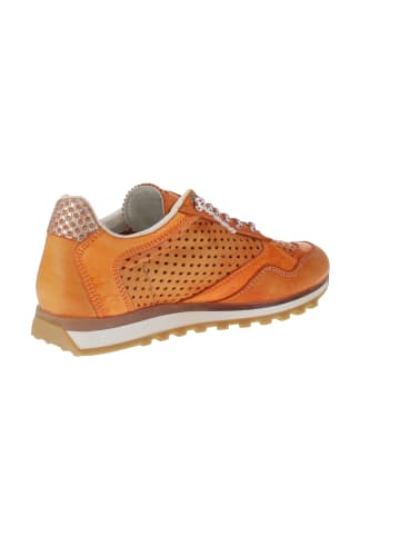 Cetti Sneaker low C-848 SRA EXP V25 in Orange