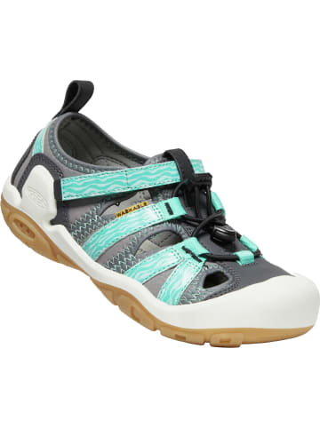 Keen KNOTCH CREEK in Grau