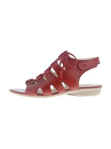 Josef Seibel Sandalen  in Rot