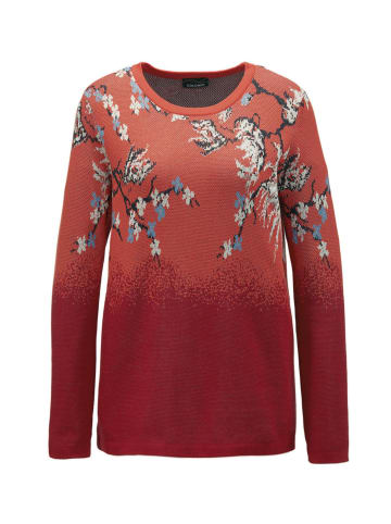 GOLDNER Kurzgröße:  Baumwollpullover mit floralem Design in rot / gemustert