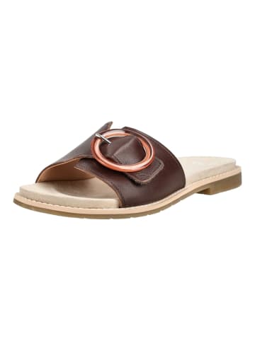 ara Pantoletten in Mocca