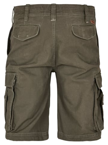 Brandit Cargo Shorts in grün