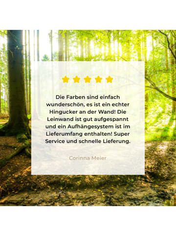 MuchoWow Leinwand bilder Waldlicht (BxH)