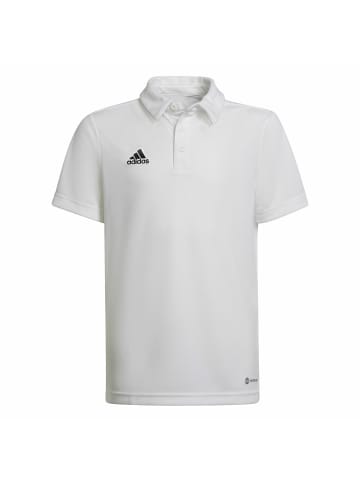 adidas für Erwachsene in uni