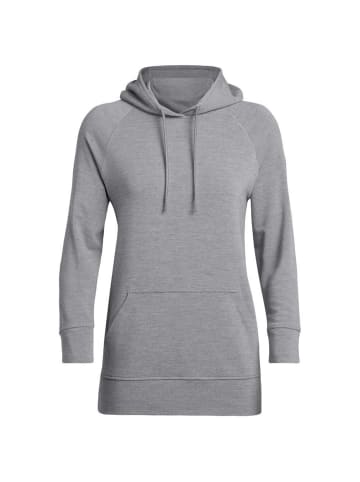 icebreaker Hoodie Momentum in Grau