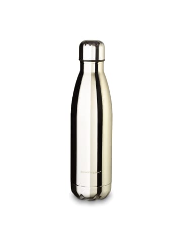 Echtwerk Trinkflasche "Shiny" 500 ml in Silber