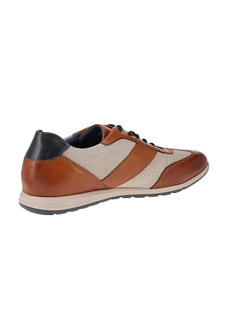 Bugatti Sneaker low 311-A9Q05-4169 XL in Mehrfarbig