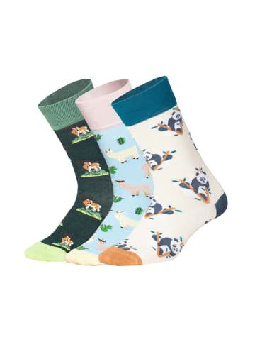 DillySocks Socken Animal Adventures (3er Box) in Beige Weiss Hellblau Grün
