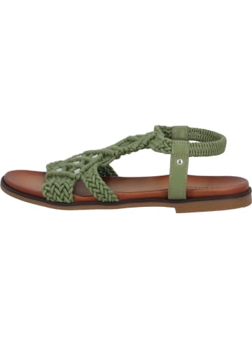 Palado Riemchensandalen Fathana in Khaki