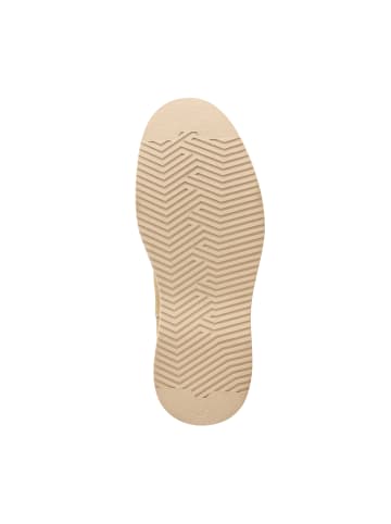 TRAVELIN' Howser in Sand