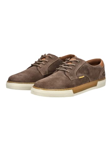 Camel Active Halbschuhe in Taupe