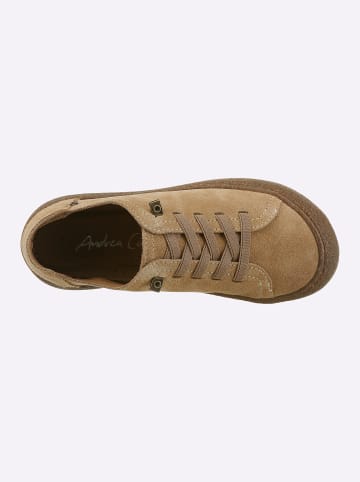 Andrea Conti Schnürer in camel