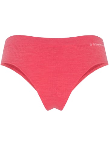 Salewa W ZEBRU FRESH ALPINEMERINO RESPONSIVE SLIP in Pink