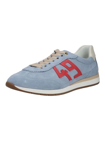 ara Sneaker in Blau/Rot