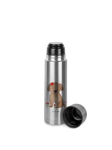 Mr. & Mrs. Panda Thermoskanne Hund Dame ohne Spruch in Transparent