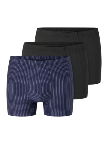Schiesser Retro Short / Pant 95/5 Essentials - Cotton in Schwarz / blau