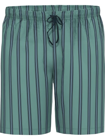 Ammann Single-Jersey Bio Hose Streifen, kurz in jade