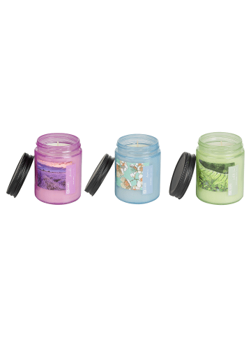 Beliani 3er-Set Kerze FRUITY BLOOM in Blau/Grün/Violett